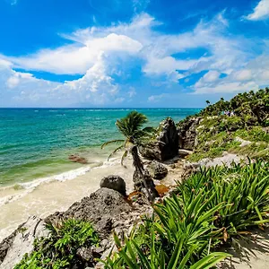 https://the-hibiscus-house.tulum-hotels.net